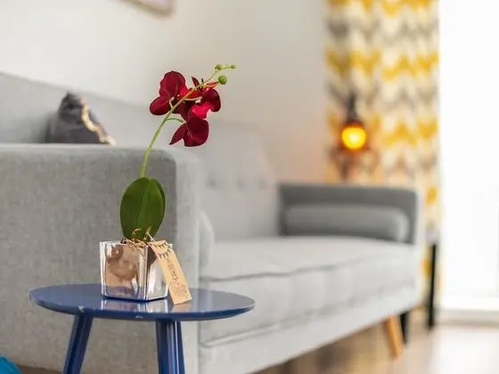 St Johns Road Apartments - İç Mekan