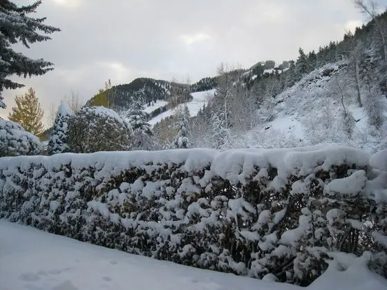 St. Moritz Lodge & Condominiums - Dış Mekan