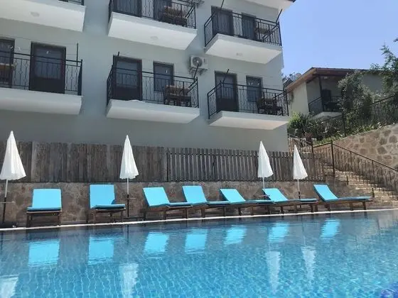 St. Nicholas Pension - Havuz