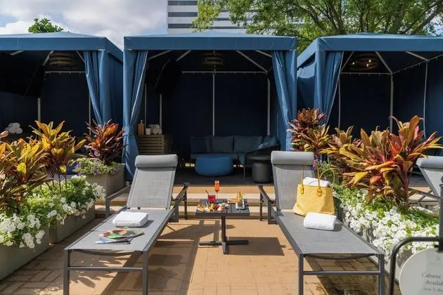 The St. Regis Houston - Havuz