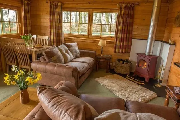 Stable Lodge - Oda Düzeni