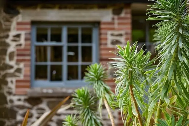 The Stables - Charming rural bolthole - Dış Mekan