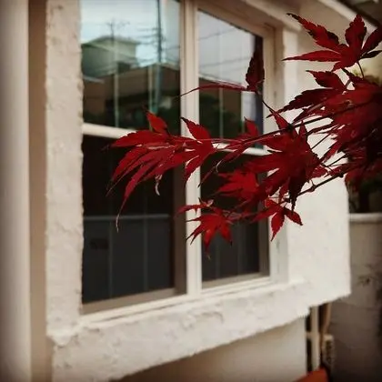 The standard apartment shibuya B - Dış Mekan