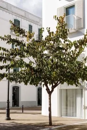 The Standard Ibiza - Dış Mekan