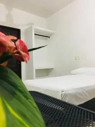 Standard Room With two Single Beds - Oda
