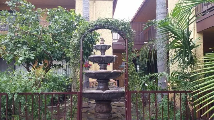 Stanford Inn & Suites Anaheim - Genel