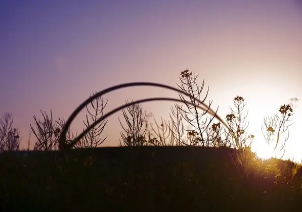 Stanly Ranch, Auberge Resorts Collection - Dış Mekan