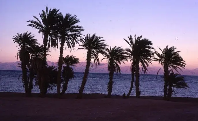 Star Of Dahab - Plaj