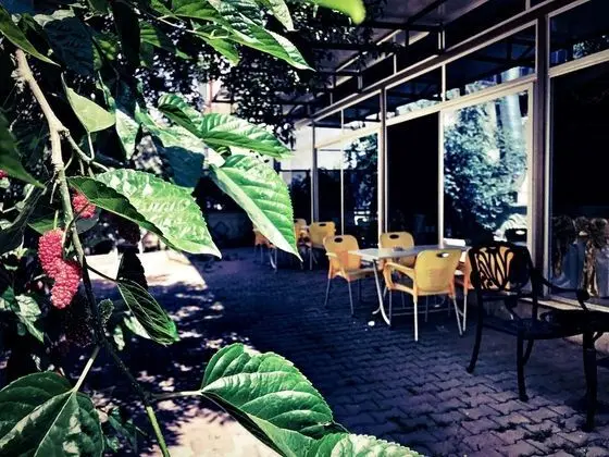 Otel Star Palace - Konum Öne Çıkanlar