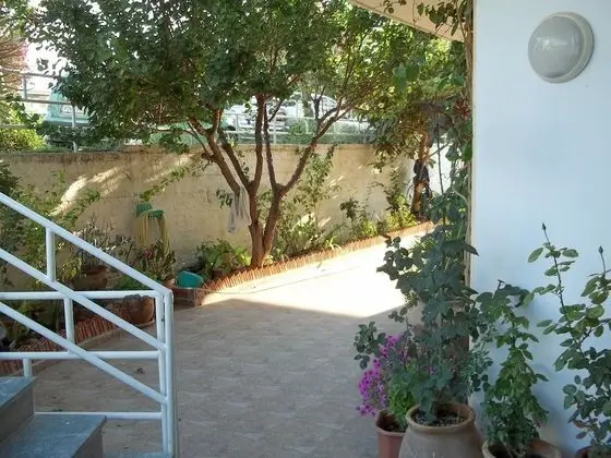 Star Hotel - Dış Mekan