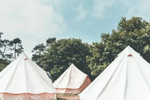 Star Surf Camps Moliets - Dış Mekan