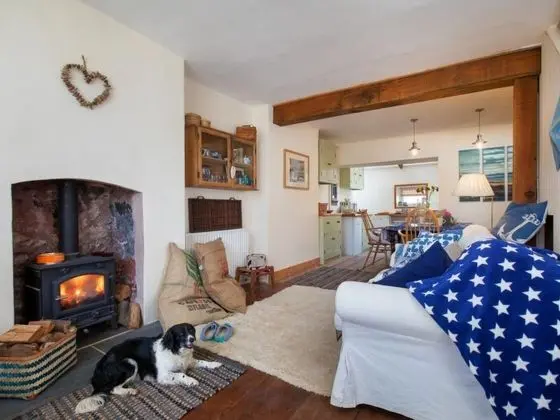 Starco Shaldon in Shaldon