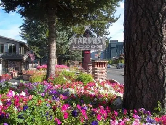 Stardust -Tahoe - Öne Çıkan Resim