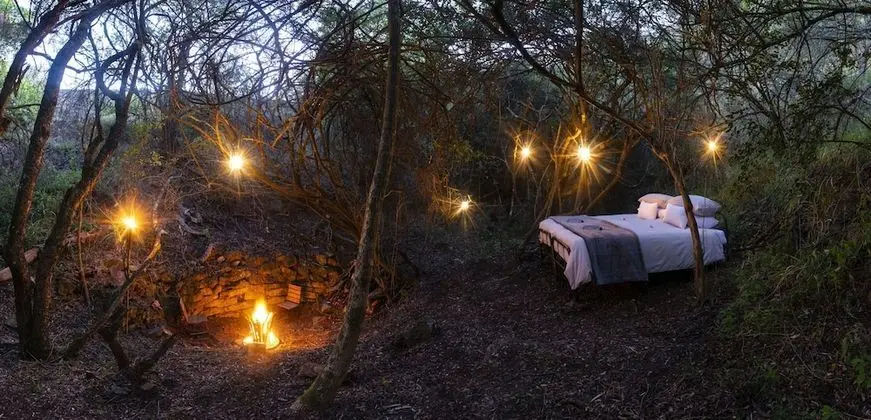 Stargazer Camp - Bellevue Forest Reserve