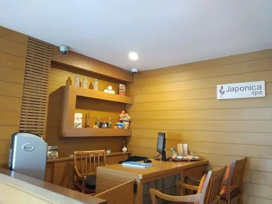 Stark Boutique Hotel and Spa Bali - Spa