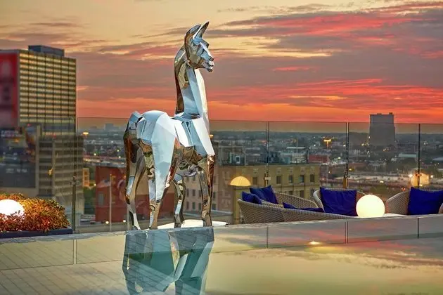 The Statler Dallas, Curio Collection by Hilton - Genel