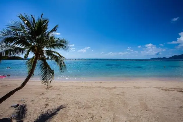 The Stay Chaweng Beach Resort - Plaj