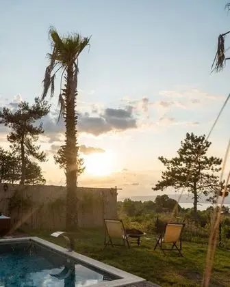 Stay In Sapanca - Manzara / Peyzaj