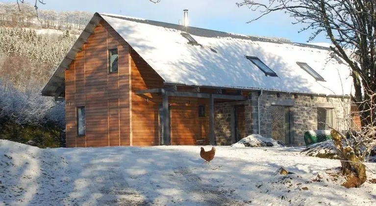 The Steading