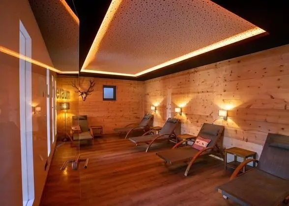 Steig-Alm Hotel - Spa
