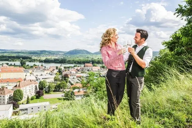 Steigenberger Hotel & Spa Krems