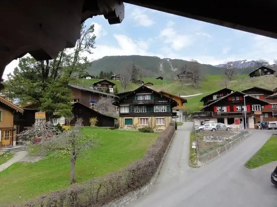 Steinbock Hotel Grindelwald - Dış Mekan