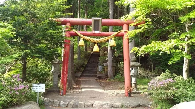 Step House Pension