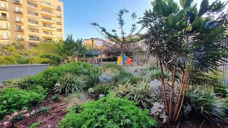 Step To Neve Tsedek Brand New TL18