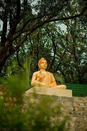 Sterling Palm Bliss - Rishikesh - Dış Mekan