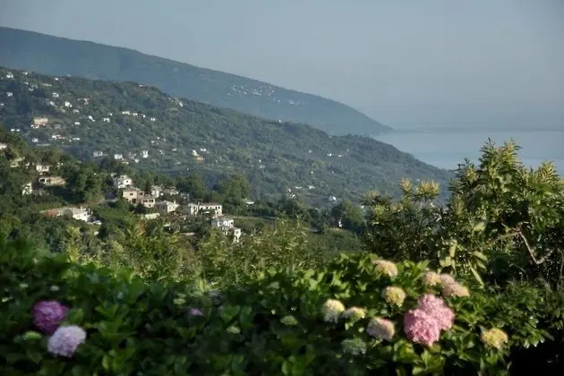 Stilvi - Dış Mekan