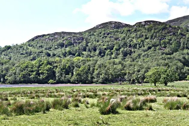 Stob Binnein Cottage - Genel