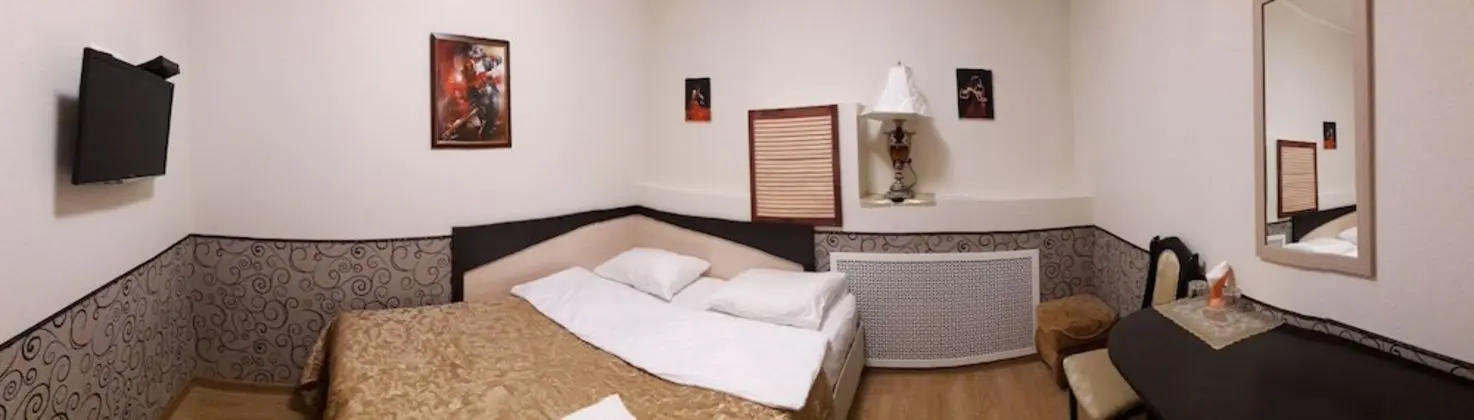 Stolichnaya Hotel - Oda
