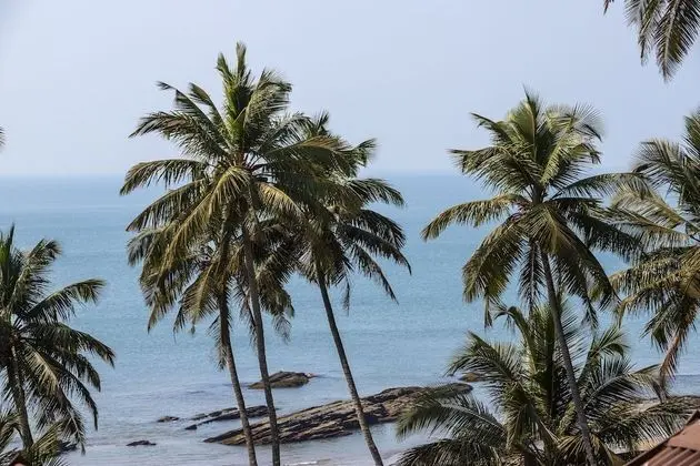 Stone Wood Beach Resort - Plaj