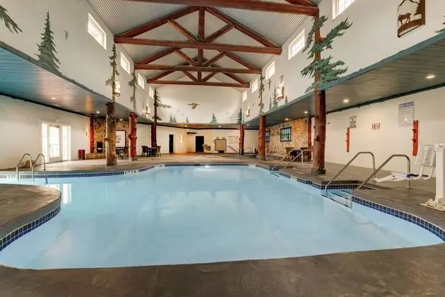 Stoney Creek Hotel & Conference Center LaCrosse - Havuz