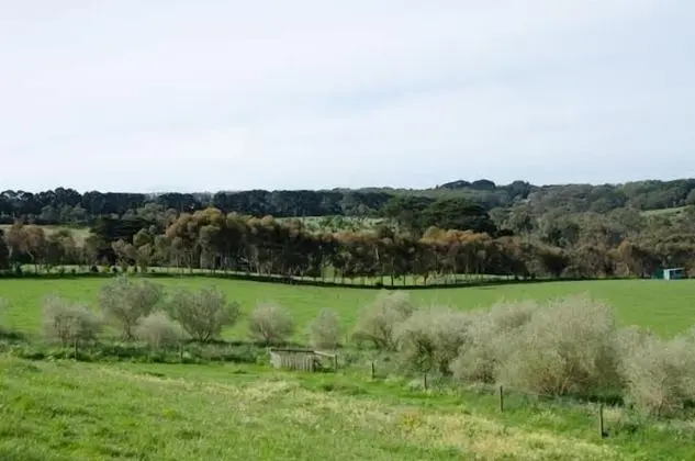 Stony Creek Cottages - Dış Mekan