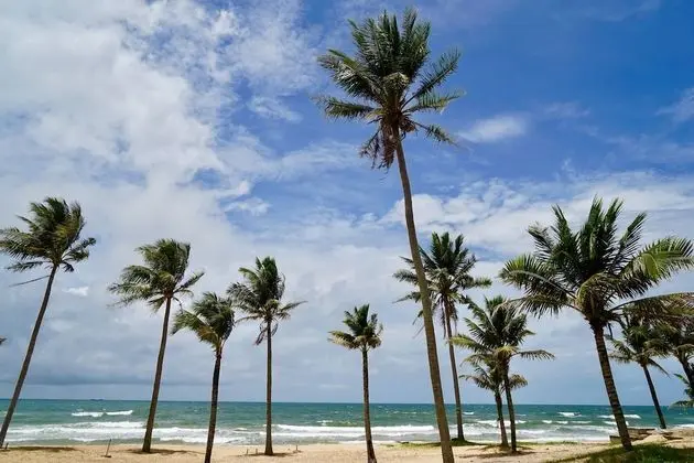 Stork Phu Quoc Homestay - Hostel - Plaj