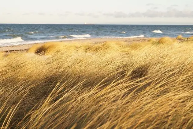 Strandleben Fehmarn - Ferienhaus 1 - Plaj