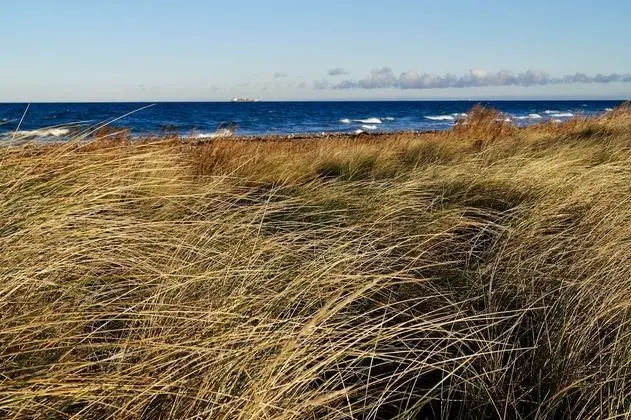 Strandleben Fehmarn - Ferienwohnung Ost - Plaj