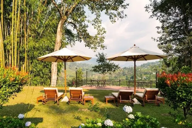 Strathdon by Zinc Journeys