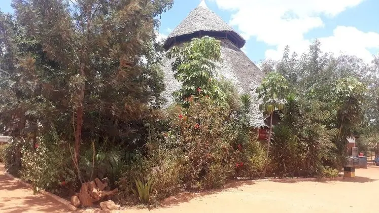 Stress Free Resort