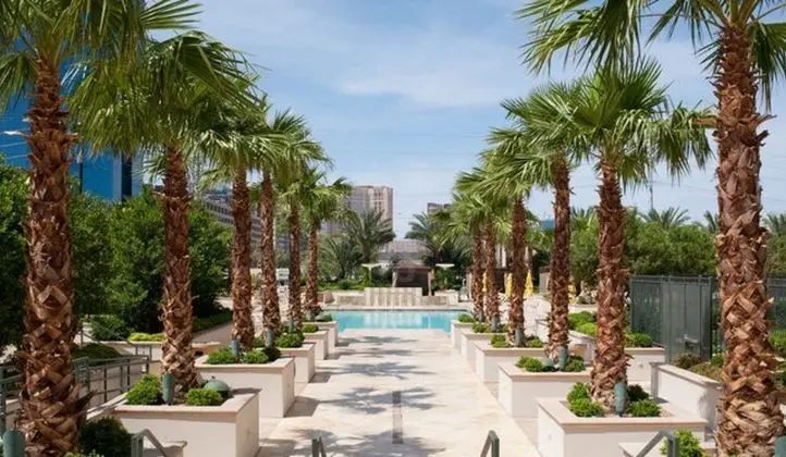 StripViewSuites at Signature - Havuz
