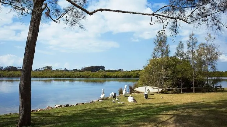 Stuarts Point Holiday Park - Öne Çıkan Resim
