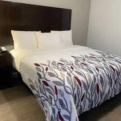 Studio 6 Suites Albany, OR - Oda