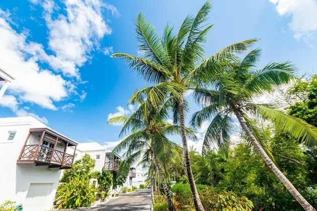 Studio 7 in Caprice Community