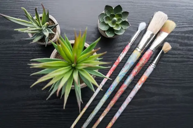 Studio Allston Hotel