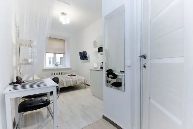 Studio apartment on 12 Liniya - Oda