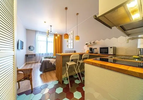 Studio Apartment near Elagin Island - Öne Çıkan Resim