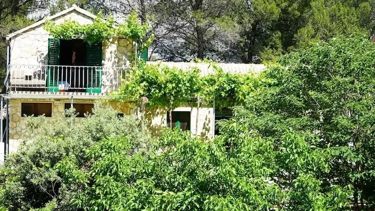 Studio Apartment Slivje - Dış Mekan