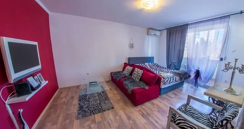 Studio Apartment Zebra - Oda