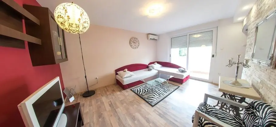 Studio Apartment Zebra - Öne Çıkan Resim